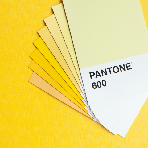 a collection of yellow color swatches pantone 600 on a yellow background.